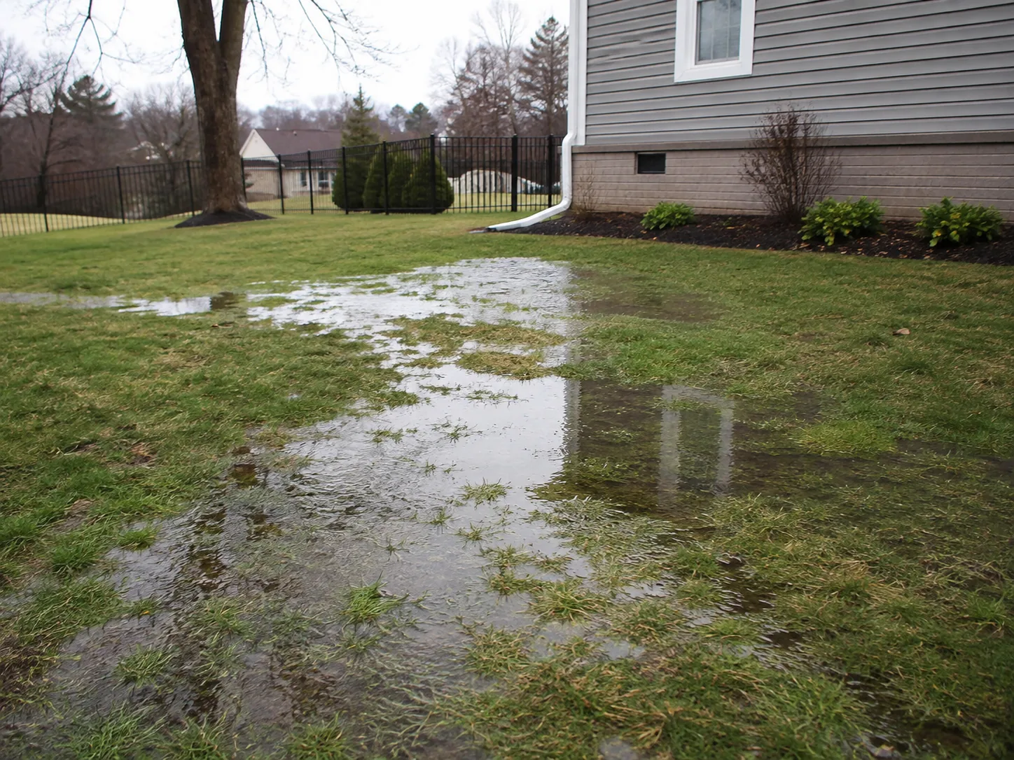 Standing water pooling in a backyard near a home's foundation after rain